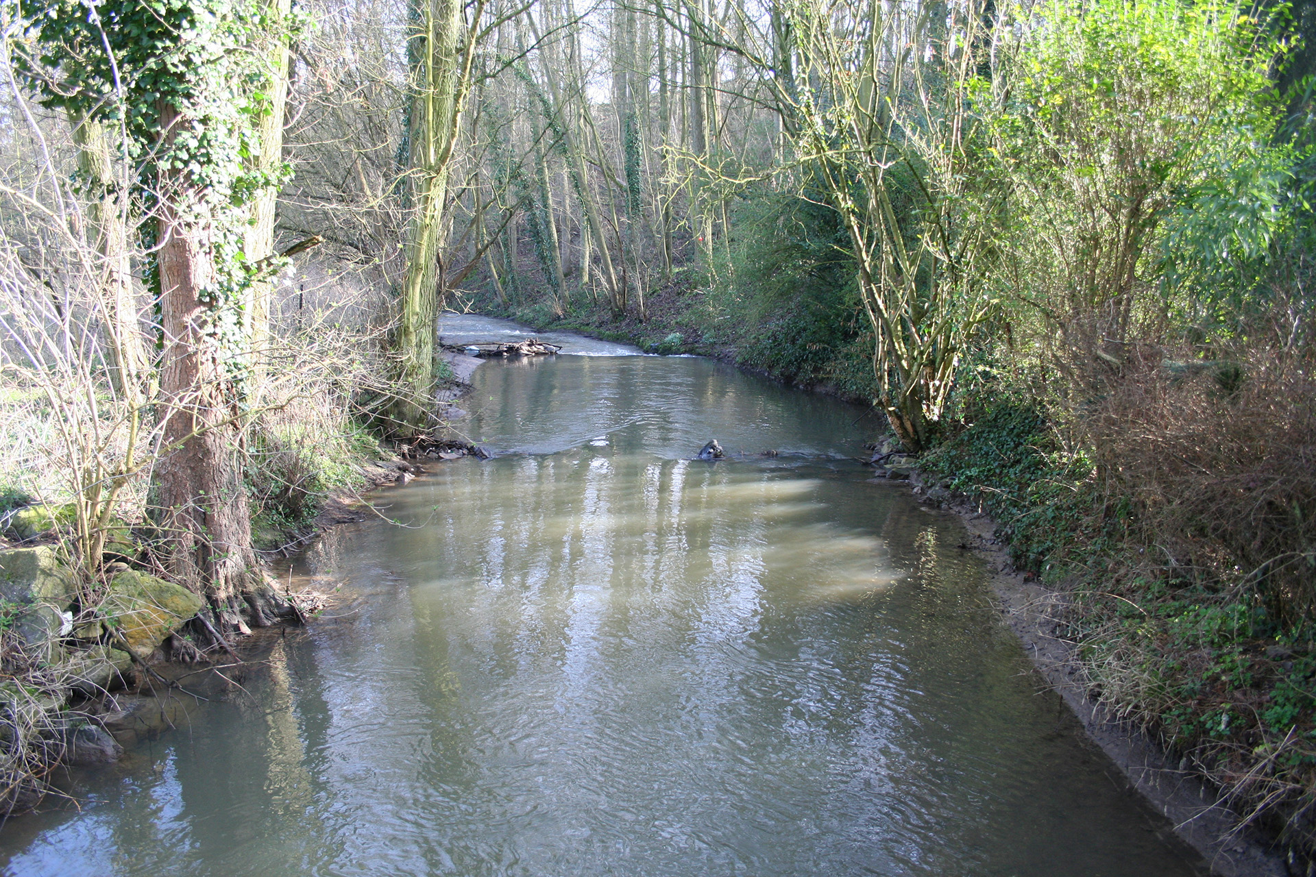 La Truite Saumonée asbl